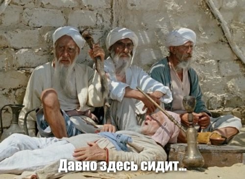Кот, гад, на сиськи смотрит