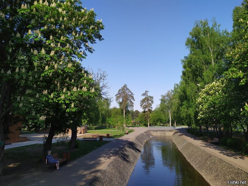 Отличный парк им.Урицкого в городе Казани. Тут начинается искуственный канал переходящий потом в небольшое озеро. В парке на аллее и вдоль канала растут в том числе каштаны. Обустроен и хорошо оснащен для отдыха и спорта. Очень популярное место отдыха горожан и гостей города.