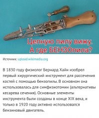 10 интересных фактов, которые повысят вашу эрудицию