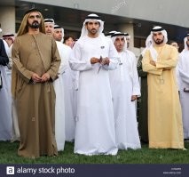 арабские шейхи огорченны