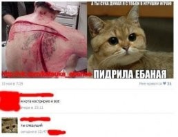 Прикольные и смешные картинки