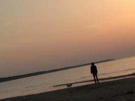 Минимализм