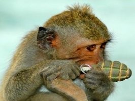 Может, ей надо на встречку, сейчас и поедет. Стала выруливать задом, поняла, что не туда крутанула, но можно и кругом развернуться.