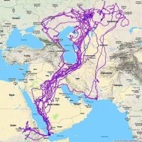 долбанутая птица....