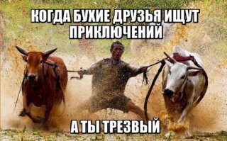 Гонки на буйволах на Бали