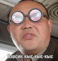Научный труд: как подмигнуть коту, чтобы ему понравилось