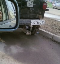 Подборка автомобильных приколов