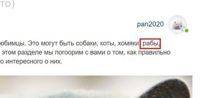 Хорошие домашние питомцы, надо завести парочку!