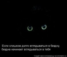 Научный труд: как подмигнуть коту, чтобы ему понравилось