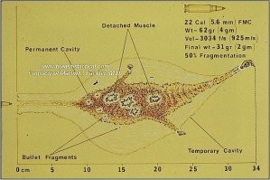 Пуля стандартного патрона SS109 обладает очень эффективной терминальной баллистикой. При попадании в мягкие ткани на скорости 820 м/с и выше пуля фрагментируется, создавая обширное поражение внутренних органов. В настоящее время патрон 5.56х45 НАТО является стандартным для штурмовых винтовок стран НАТО в соответствии со STANAG 4172.