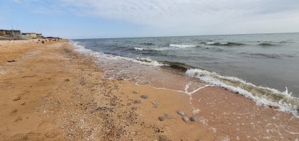 ну и медузы, куда ж без них ))
в 2020 их немерено, хотя еще 5 лет назад, дети поймав медузу размером со спичечный коробок, бегали и всему пляжу показывали, такая была редкость.