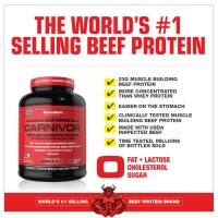 Лучше уж говяжий прот со вкусом печенек и мороженого закоктейлить.