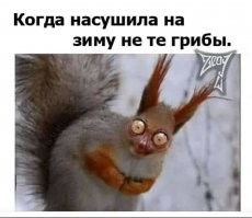 Как солить грузди на зиму, чтобы они были хрустящими