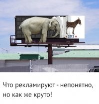 Что непонятного? Слон - символ республиканской партии США, осел - демократической.