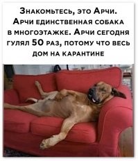 И смех и грех: тот самый лечебный коронавирусный юмор