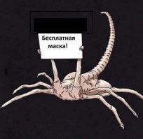 И смех и грех: тот самый лечебный коронавирусный юмор