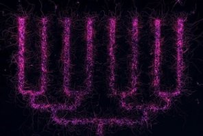 Схема оповещения и аварийного сбора при ликвидации аварий, инцидентов на объектах ООО"Трансгаз Москва". Только недавно получил.