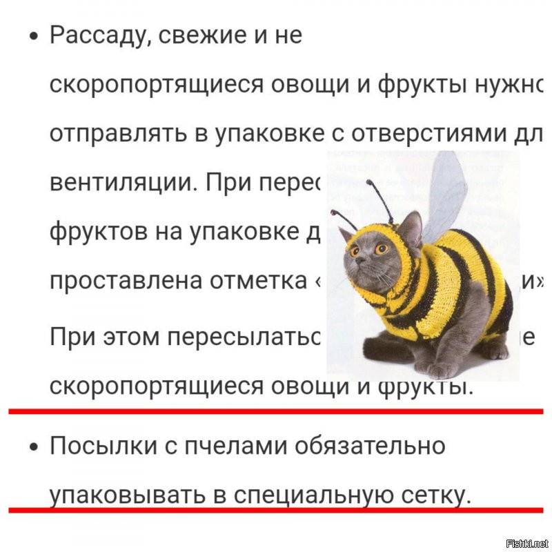 В общем, если судить по сайту Почты России, то не запрещено, если ваш кот не ядовитый. 

Если ваш кот - пчела, то нужно упаковывать в специальную сетку. 

Но лучше воспользоваться услугами других компаний. 
К примеру, РЖД.