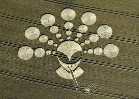 Во ухари! На чужом горбу в рай хотят въехать! Там медную локалку ещё Луноходы во времена СССР протянули.   Любой из вставших луноходов роутером может работать и Wifi по умолчанию раздаёт. Серые давно бы уже на официальный контакт вышли, но с контрой завязались аж на перекур на поверхность не выходят, там курят.