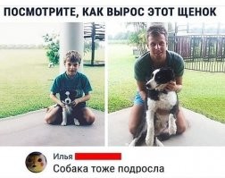 Трогательные фото животных в стиле "тогда и сейчас"