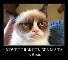 Дно второй раз оказался самым матерящимся городом России