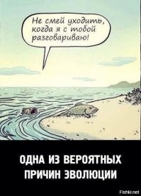Комичность отношений мужчин и женщин, над которой мы смеялись до слез