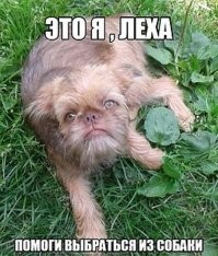 Не ищите здесь смысл. Здесь в основном маразм