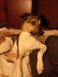 Мои 18кг балбесятины