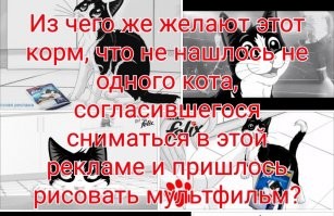 Журнал, который втайне выписывает твой кот