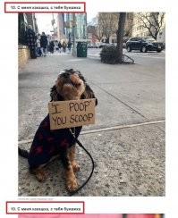 Чёта с какашками-бумажками переборщил!