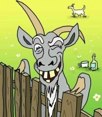 Красотка-лицеистка помогла военкомату заманить 30 призывников