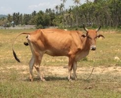 Халтура! В 2021 году должно быть