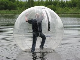 Прикольные и смешные картинки