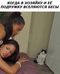 Прикольные и смешные картинки