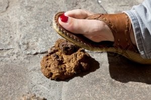 Прикольные и смешные картинки