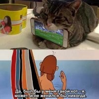 Добавлю)