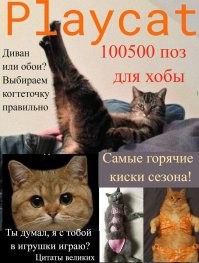 Журнал, который втайне выписывает твой кот