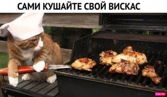 Немного интересного о спорте и питании