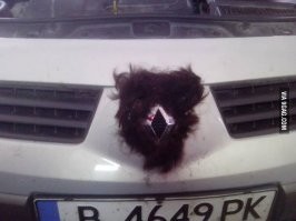 ну да, в трусах лучше