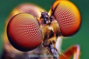 Дальше вот как у этого