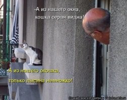 Кот + балкон =