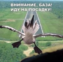 Плюнула в лицо мужчине в автобусе и была наказана