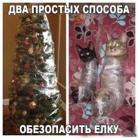 Коты, которые живут в своем мире и по своим правилам