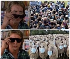 Темпы распространения ковида в регионах оказались выше, чем в Москве