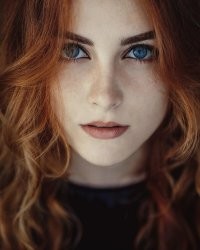 Рыжие