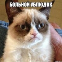 Парень запустил бизнес по производству странных чучел животных