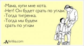 Пума: 2 метра и 80 кг ярости. На что способен горный лев?