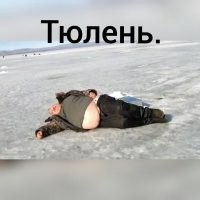 Образ русалки в демотиваторах