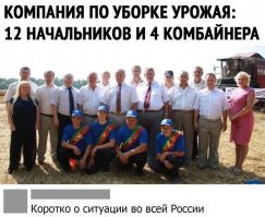 Сложно представить, но когда-то мы покупали зерно за рубежом, а теперь