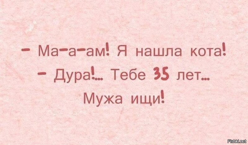 Спасибо дура кот